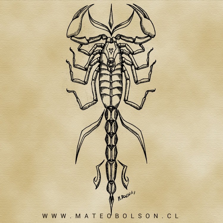 8 - escorpion