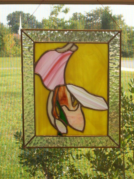 Lady Slipper