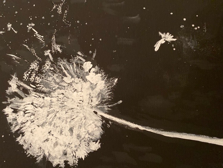 Dandelion white black