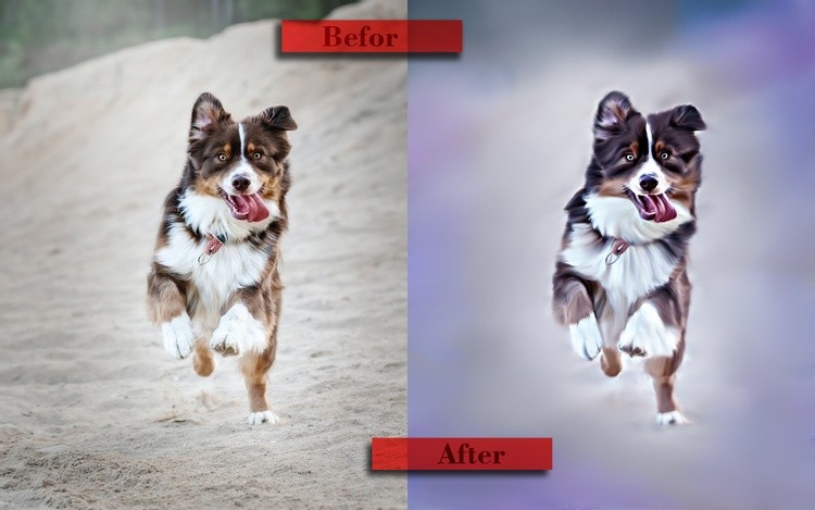 dog 2
