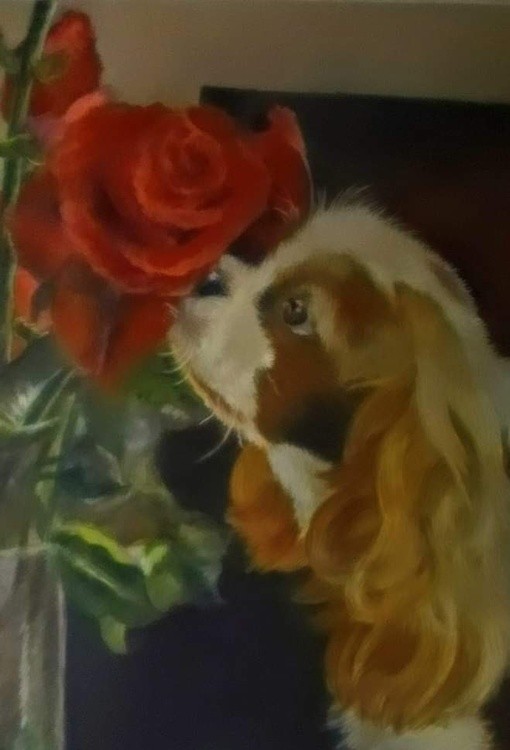 FB IMG 1637488150326~2