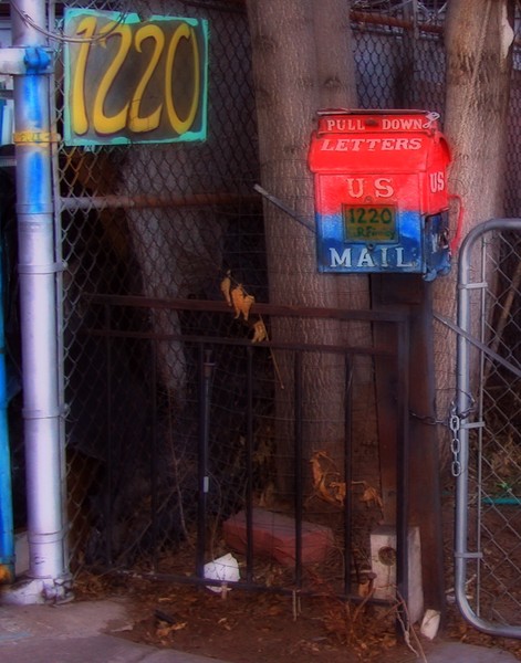 US Mail, Backyard #2