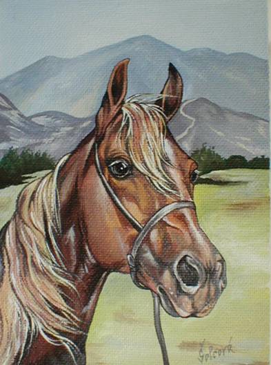 HORSE PORTRAIT