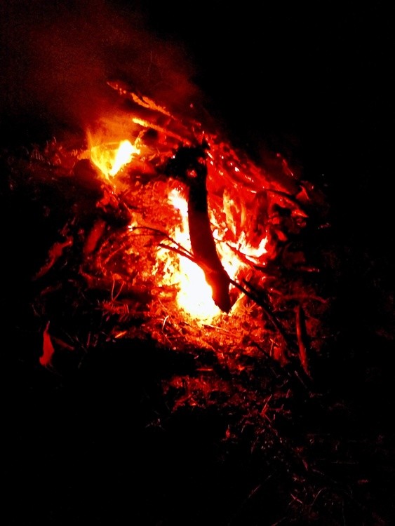IMG 20191018 215403030