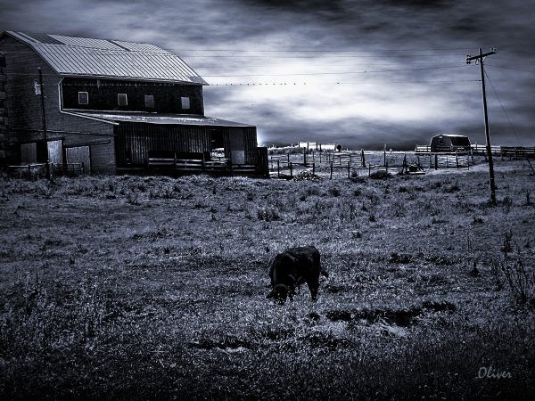 Lonesome