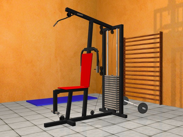 my gym