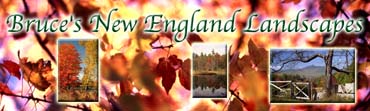 Bruce's New England Landscapes
