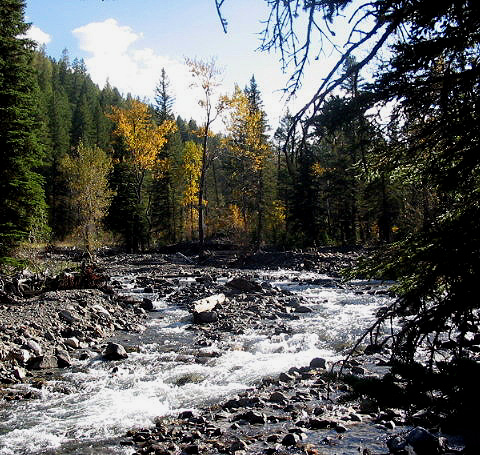 Up The Creek 