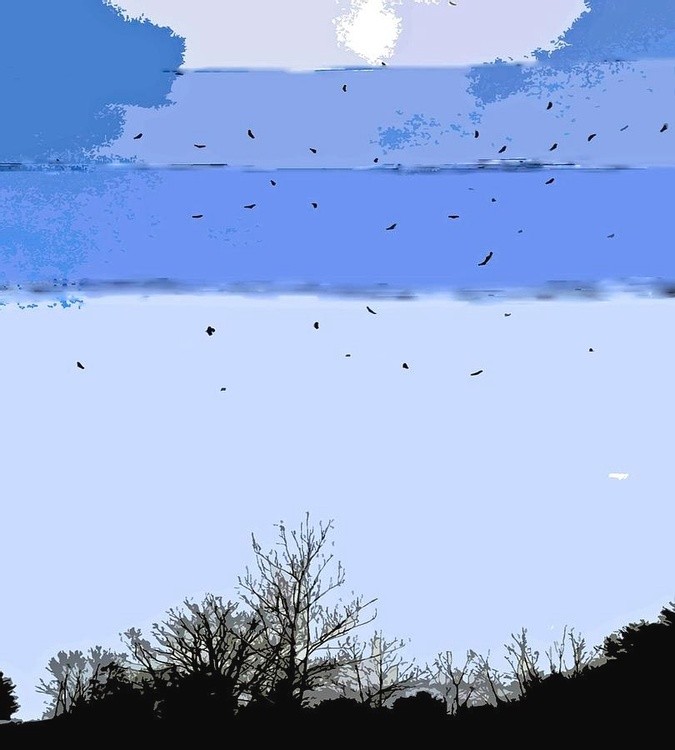 The Fallen Sky