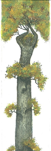 fall tree