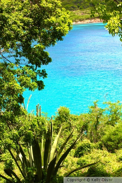 Clear Tropical Water