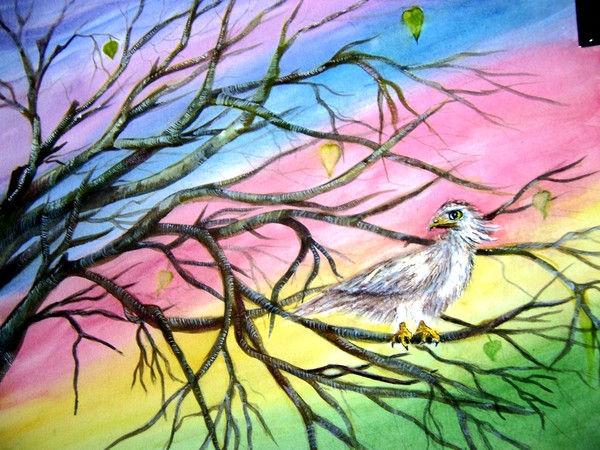 Hawk on a branch