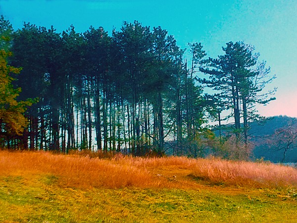 autumn approaches round valley