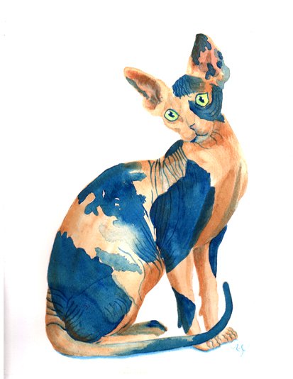 Sphynx Cat # 6