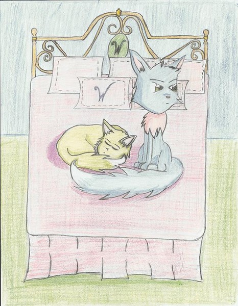 Wockies of Neopets...