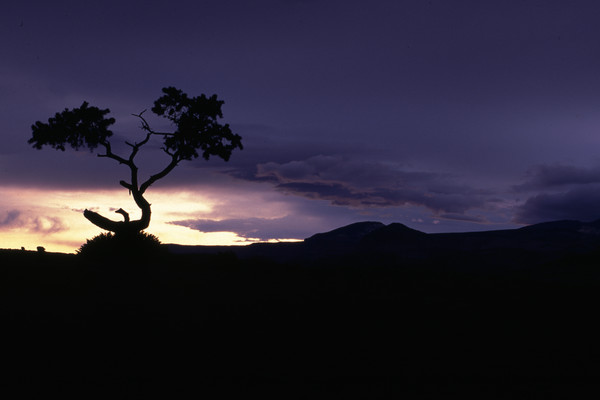 Capital Reef N.P
