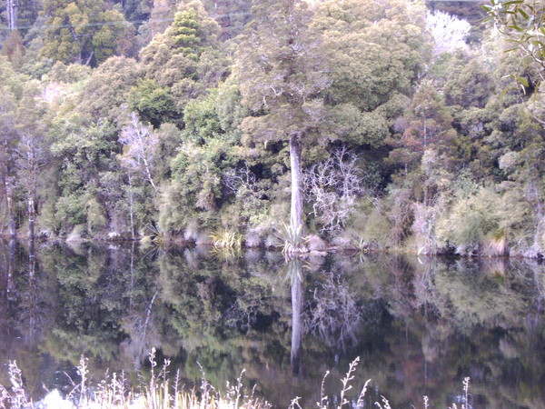 Mirror Mirror