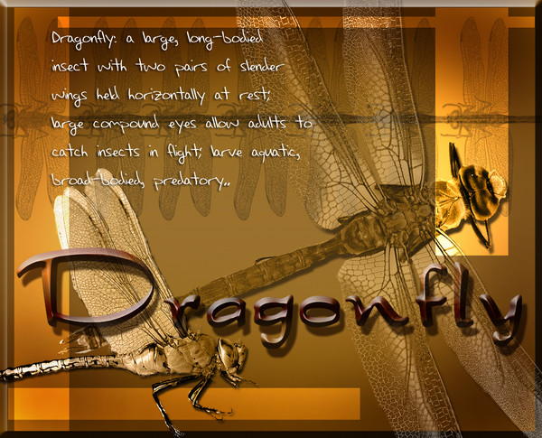 Dragonfly