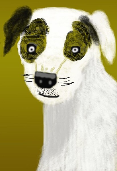 White Puppy O611