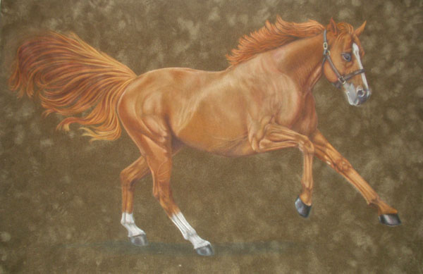 Horse on suede matboard