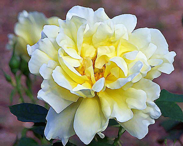 Topaz Jewel