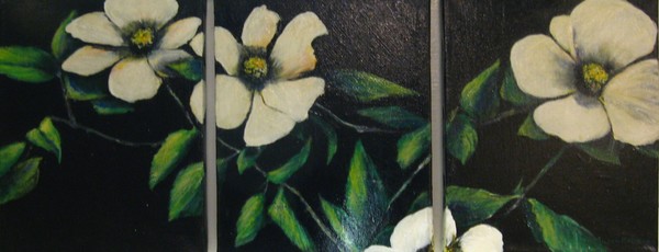 Dogwood trio