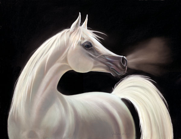 Equus