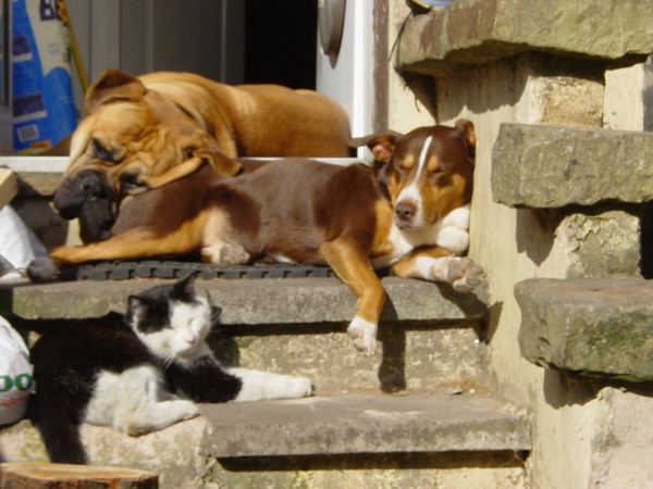 Just Catchin' Some Rays