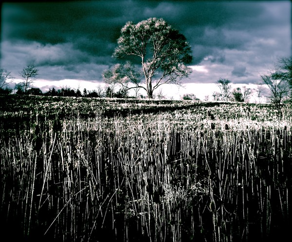 Stormy Morning 2