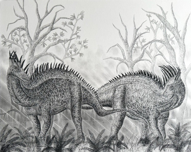 Amargasaurus Dominance Ritual 