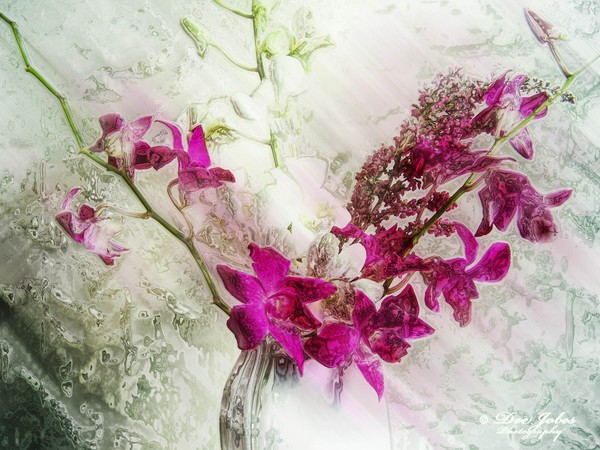 Transforming Beauty