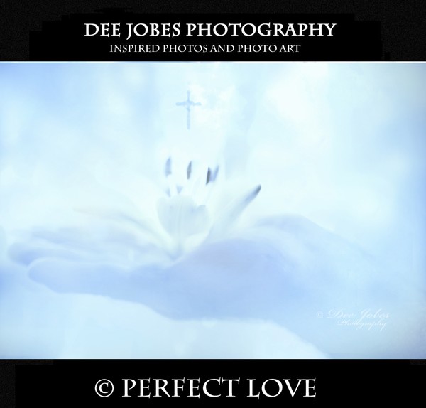 PERFECT LOVE