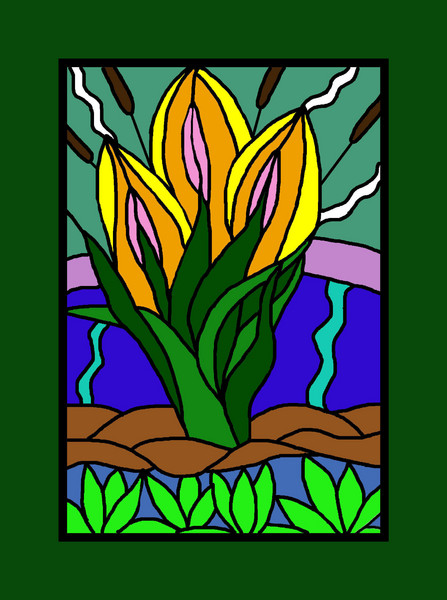 Lily Pond