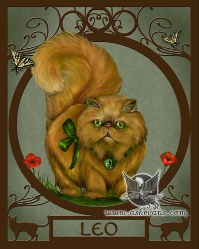Leo the Zodicat