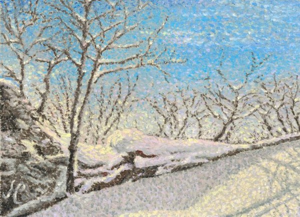 Winter walk