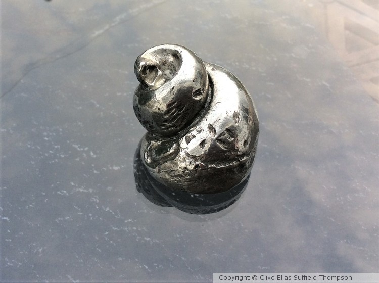 Large Whelk Pewter Shell