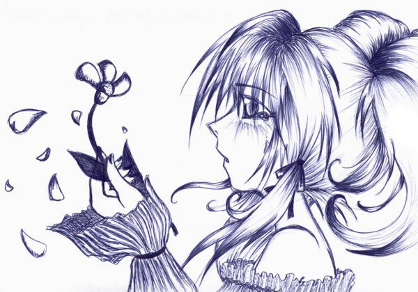 Loves me,loves me not....