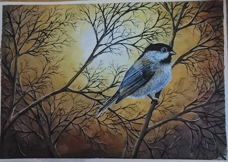 Chickadee 