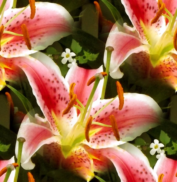 Saturday Bouquet