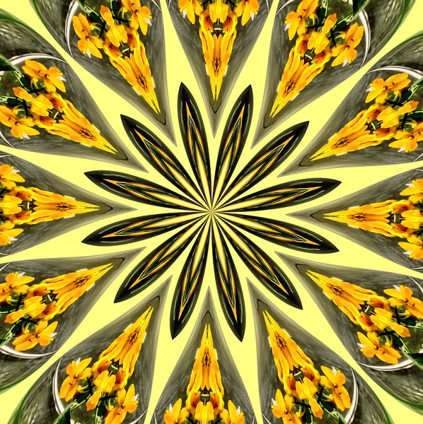 Complex Star