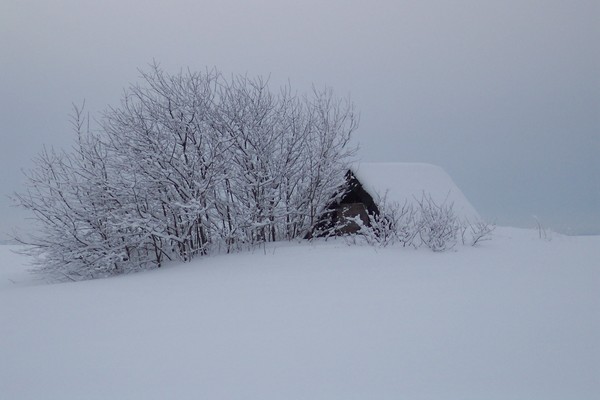 It was a cold winter...