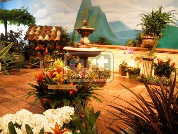 exotic place