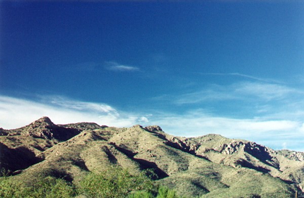 Beautiful Catalinas