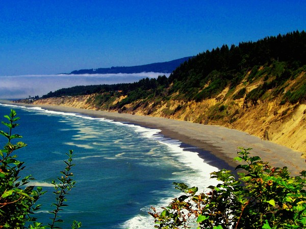 Above Agate Beach