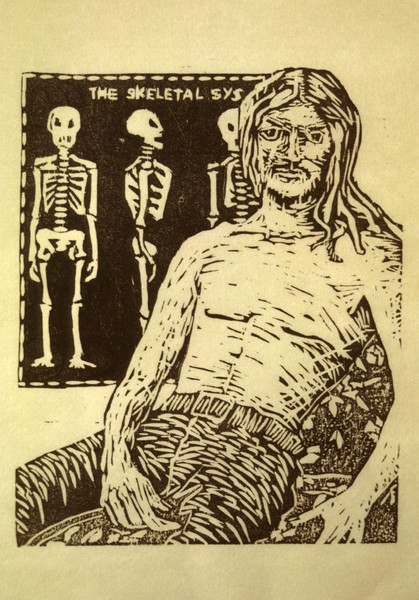 Skeletal System