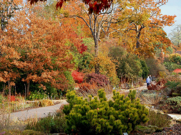 Autumn Tints