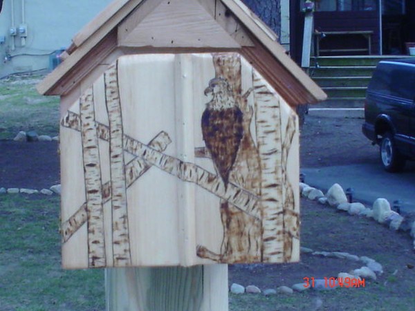 wilderness mailbox (front)