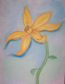 Daffy