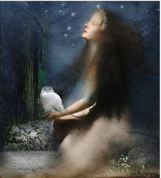 Dervla