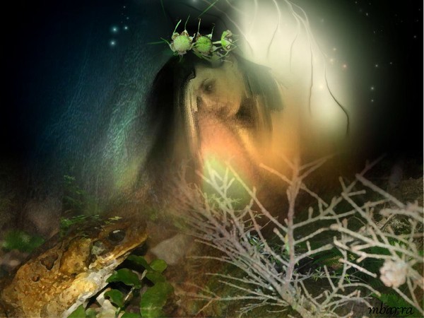 The Hiding Place